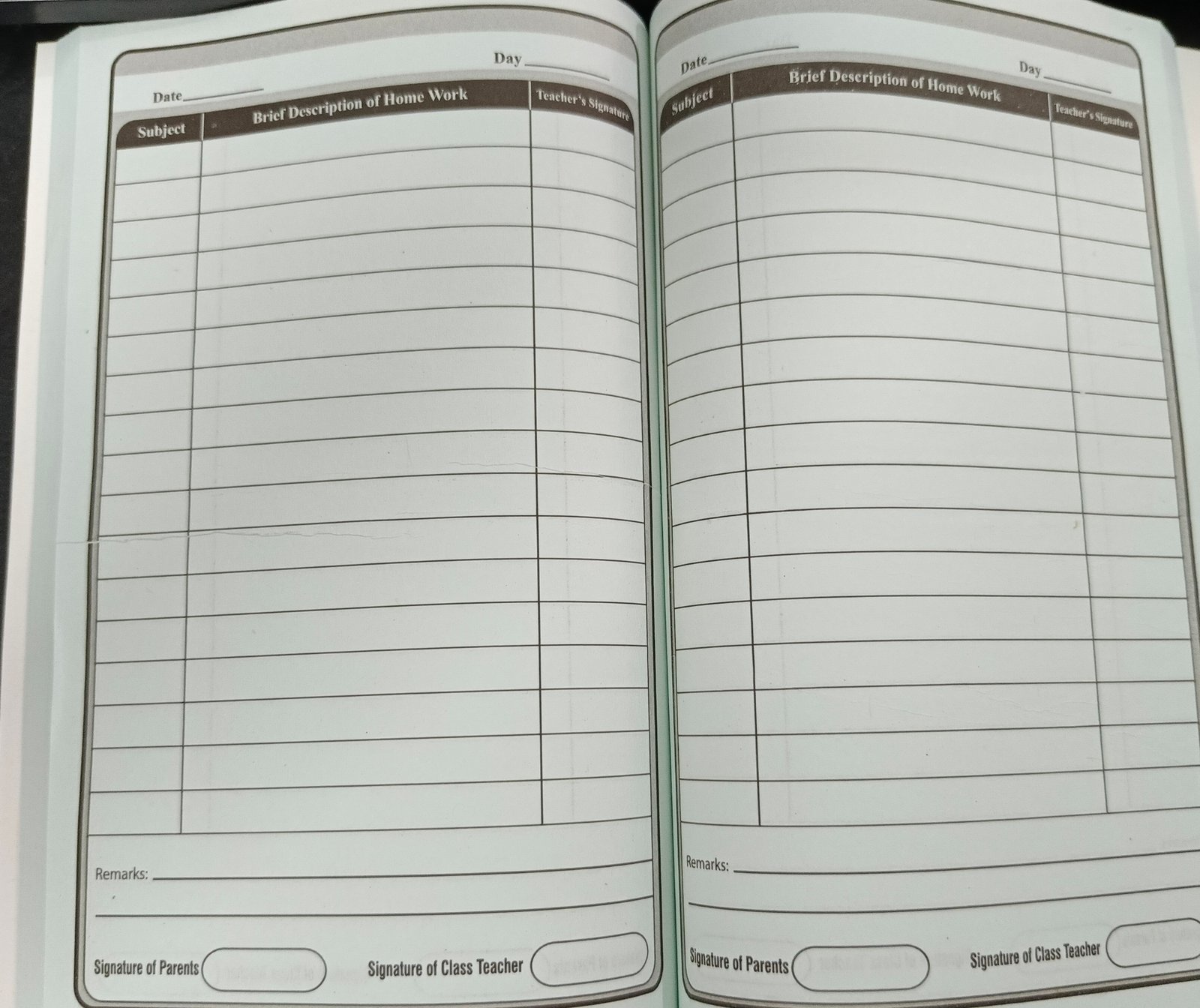 Homework Diary Deluxe [200 pages]