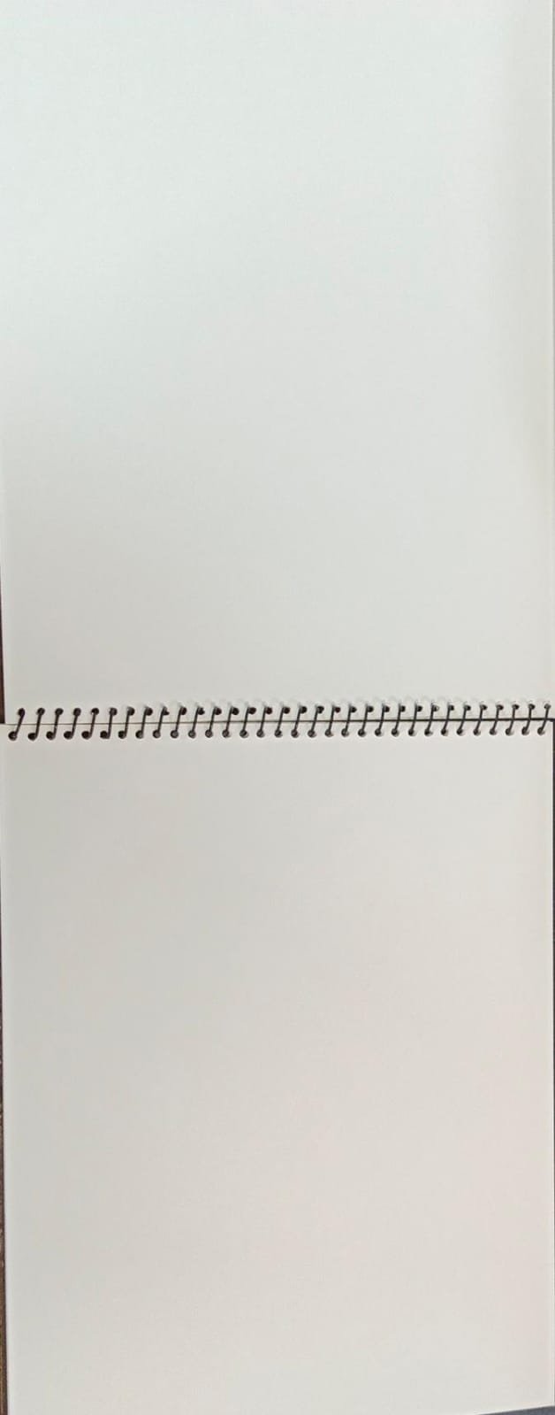 Sketchbook Large [1PC]